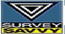 surveysavvy132x70.jpg